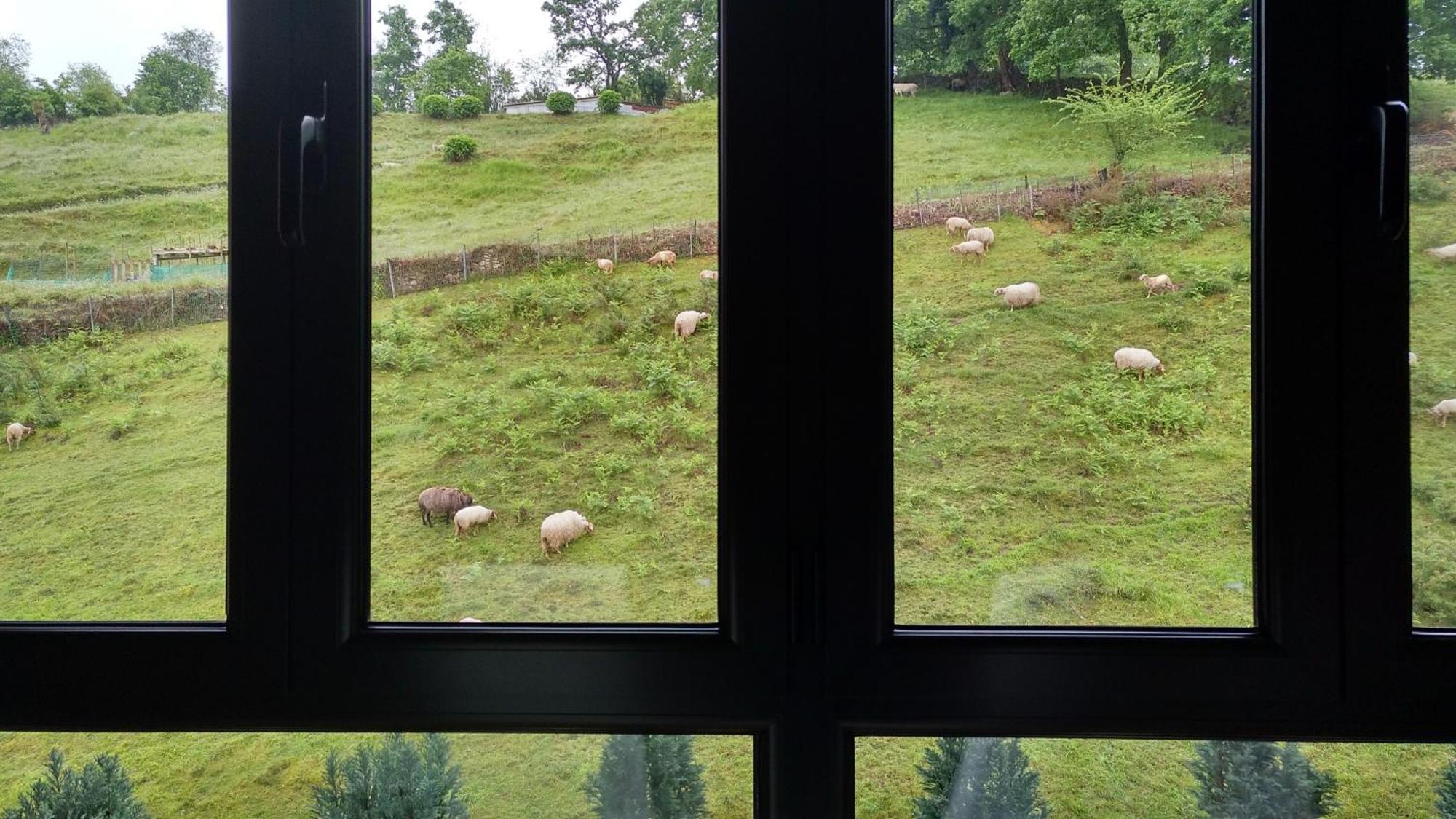 Aturcangas Onís Oda fotoğraf